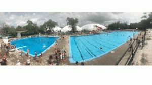 andrew-pool_34747