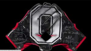 OSU gloves