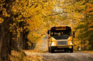 School Bus