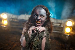 Woods of Terror