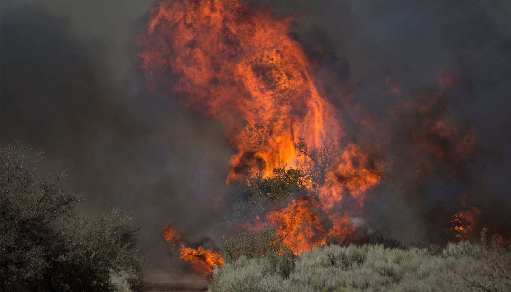 Blue Cut Fire Rages Through 30,000 Acres In Southern California