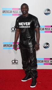2013 American Music Awards - Arrivals