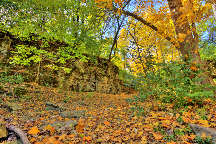 Indian Village Canyon in Autumn, Columbus, Ohio