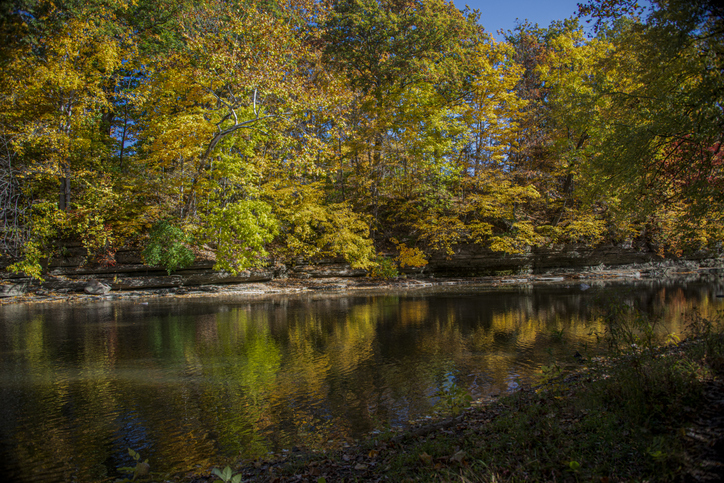 Path along the river