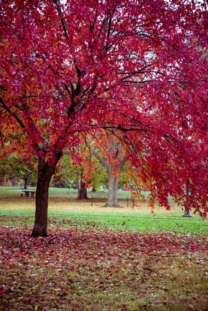 Schiller public Park, Columbus, Ohio, USA